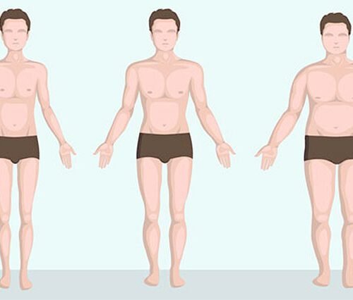 Somatotypes