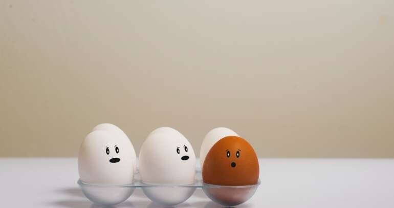 Why We Eat Eggs Everyday