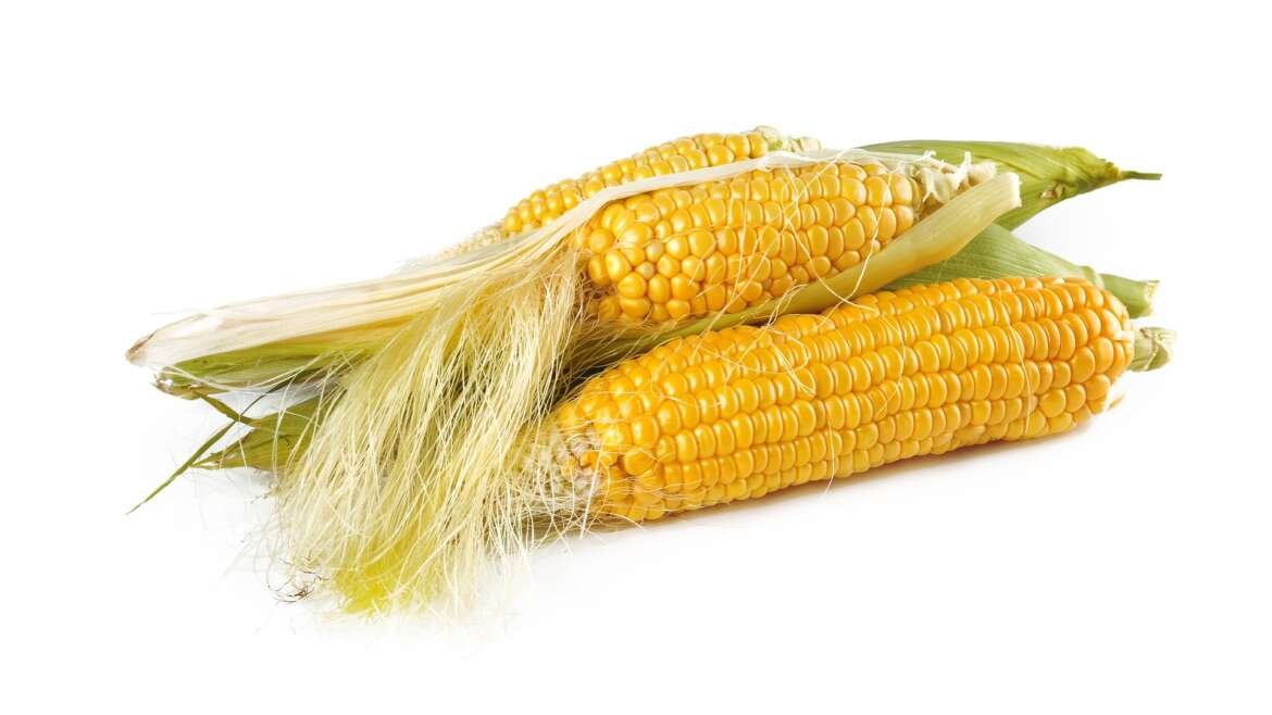 Is Corn Healthy?