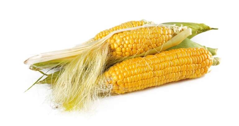 Is Corn Healthy?