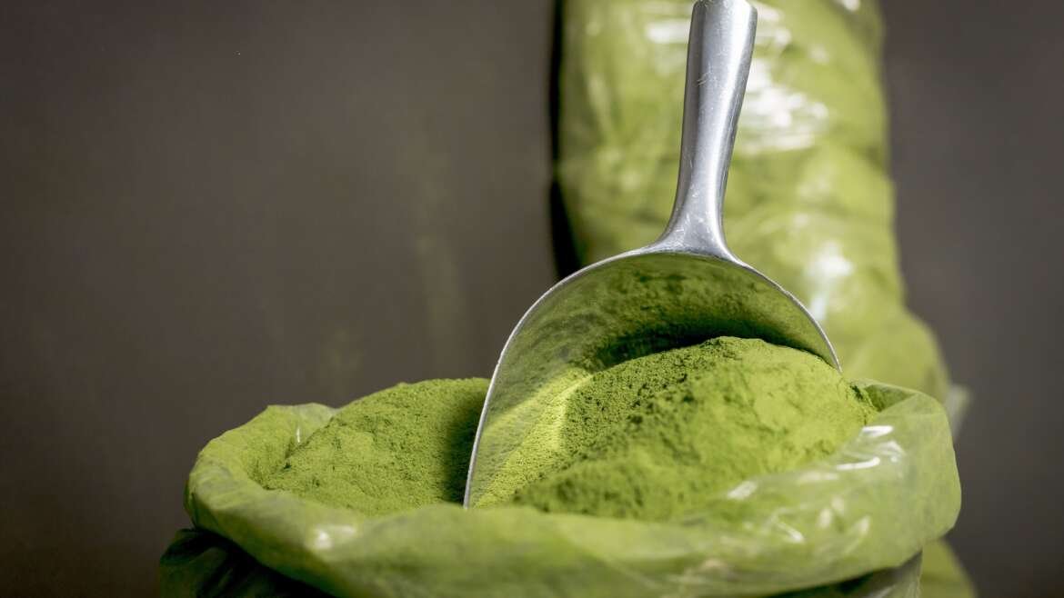 WHY IS MORINGA HEALTHY FOR WOMEN?