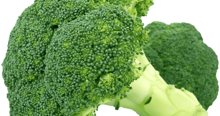 Broccoli: The Nutrient Powerhouse for a Healthy Lifestyle