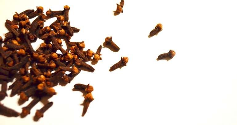 Cloves, a pungent spice with remarkable medicinal potential