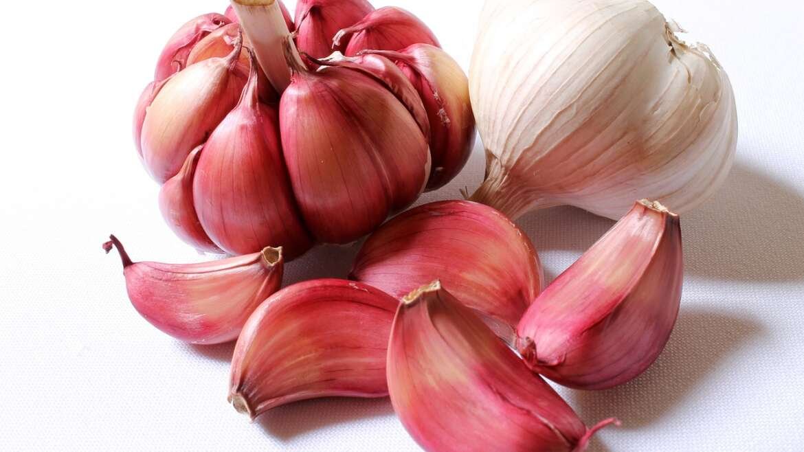 The Amazing Benefits of Garlic: Nature’s Gift to Health and Flavor